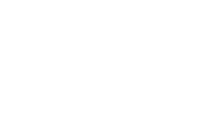 ritz logo